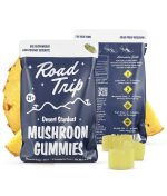 DESERT STARDUST MUSHROOM GUMMIES – PINEAPPLE