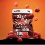 AMANITA MUSCARIA MUSHROOM GUMMIES – RASPBERRY - Image 3