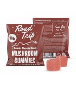 AMANITA MUSCARIA MUSHROOM GUMMIES – RASPBERRY - Image 2