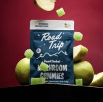 DESERT STARDUST MUSHROOM GUMMIES – GREEN APPLE - Image 3