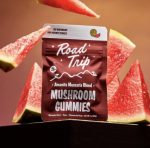 AMANITA MUSCARIA MUSHROOM GUMMIES – WATERMELON - Image 3