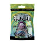 BLUEBERRY AMANITA MUSHROOM GUMMIES