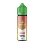 Raspberry Pineapple E-Liquid 60ml (3000mg)