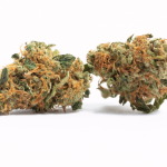 Face Off OG