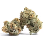 Gelato