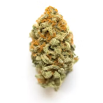GMO Garlic Cookies