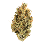 Gushers THCa Flower