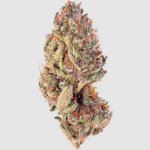 Tropicana Cookies