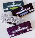 Mushmellow mushroom chocolates